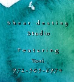 Shear Destiny Studio at Salon Boutique featuring Toni