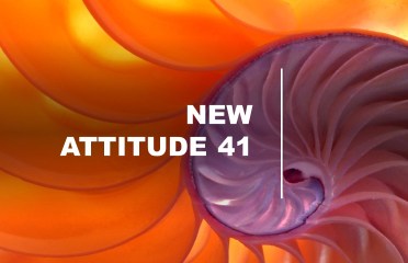 New Attitude 41